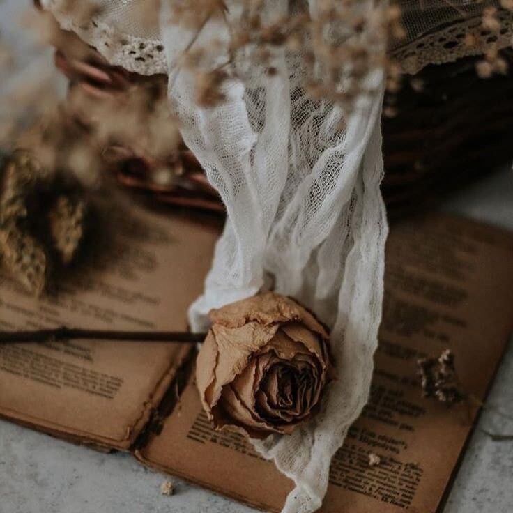 Фото из Pinterest