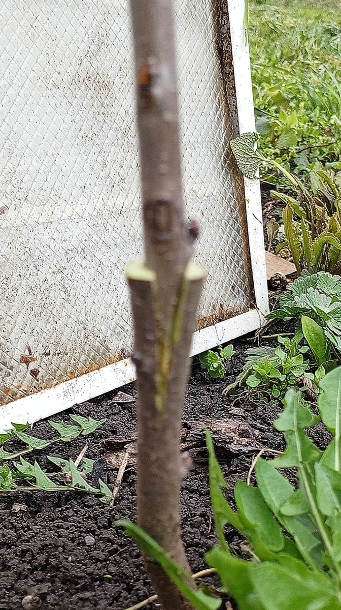 Сверху замотала фумлентой