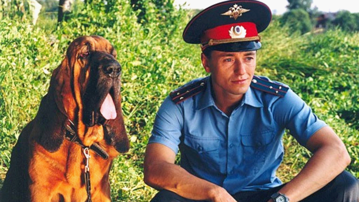 «Участок». Фото: «film.ru»