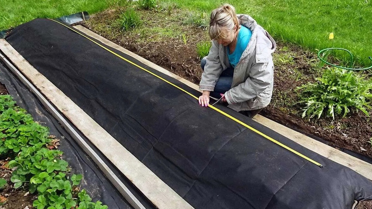 Агроволокно сразу после появления всходов — простой способ выровнять температуру и рассеять прямой солнечный свет