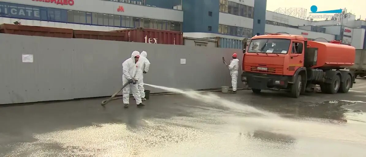    Фото: скриншот видео телеканала «Санкт-Петербург»