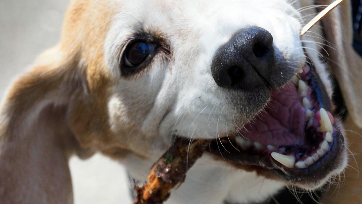    Фото: Soeren Stache/globallookpress.com