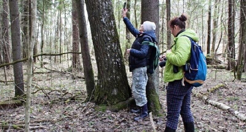    ПФ «Верховье»