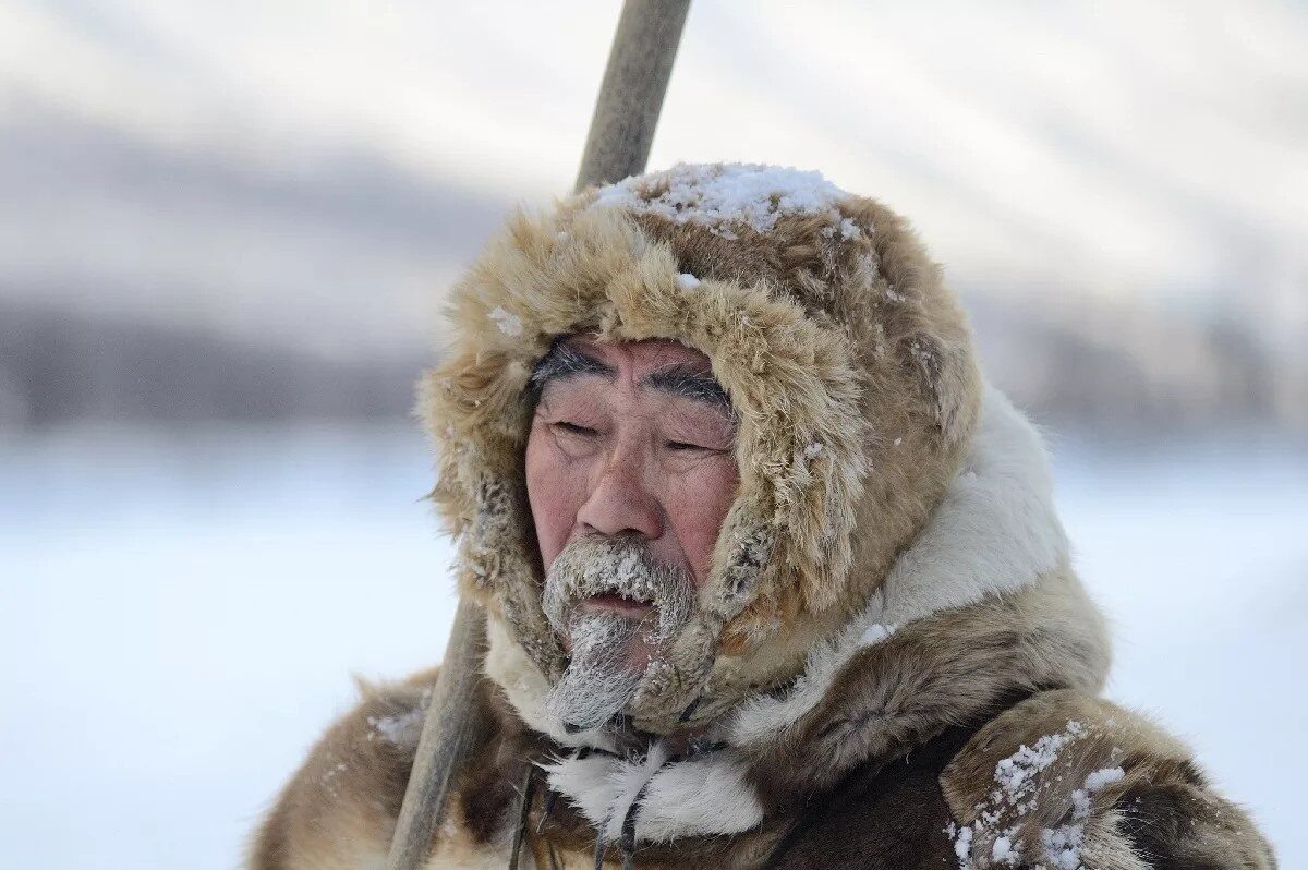 Фото из Яндекса