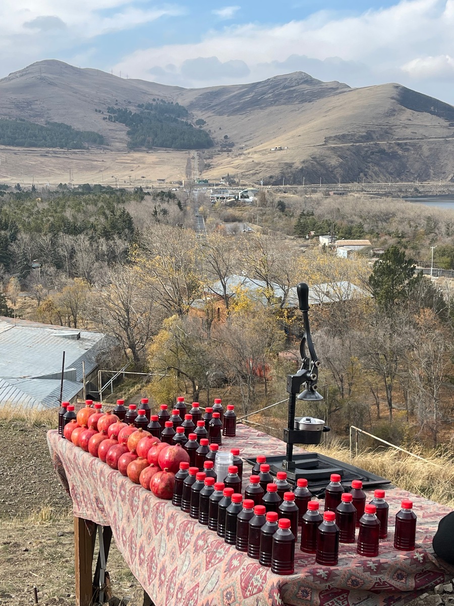 Гостеприимная Армения