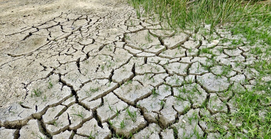    Фото: pixabay.com