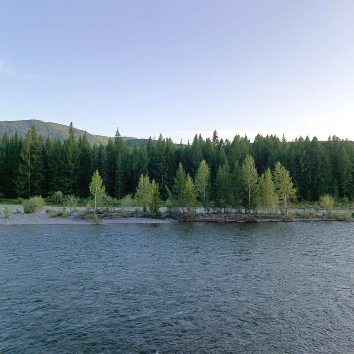 Жизнь на берегу