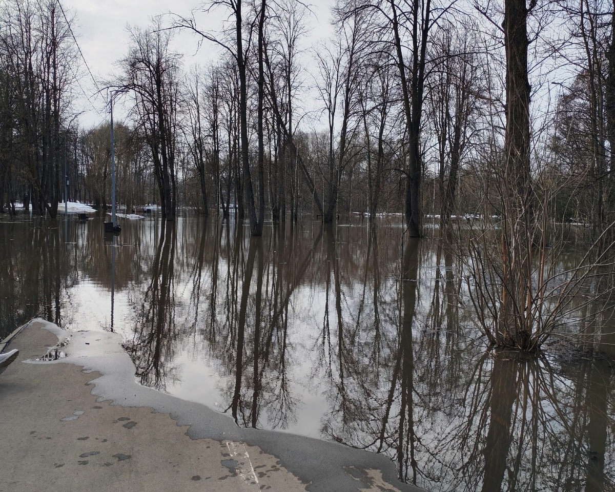Фото: Тульская служба новостей