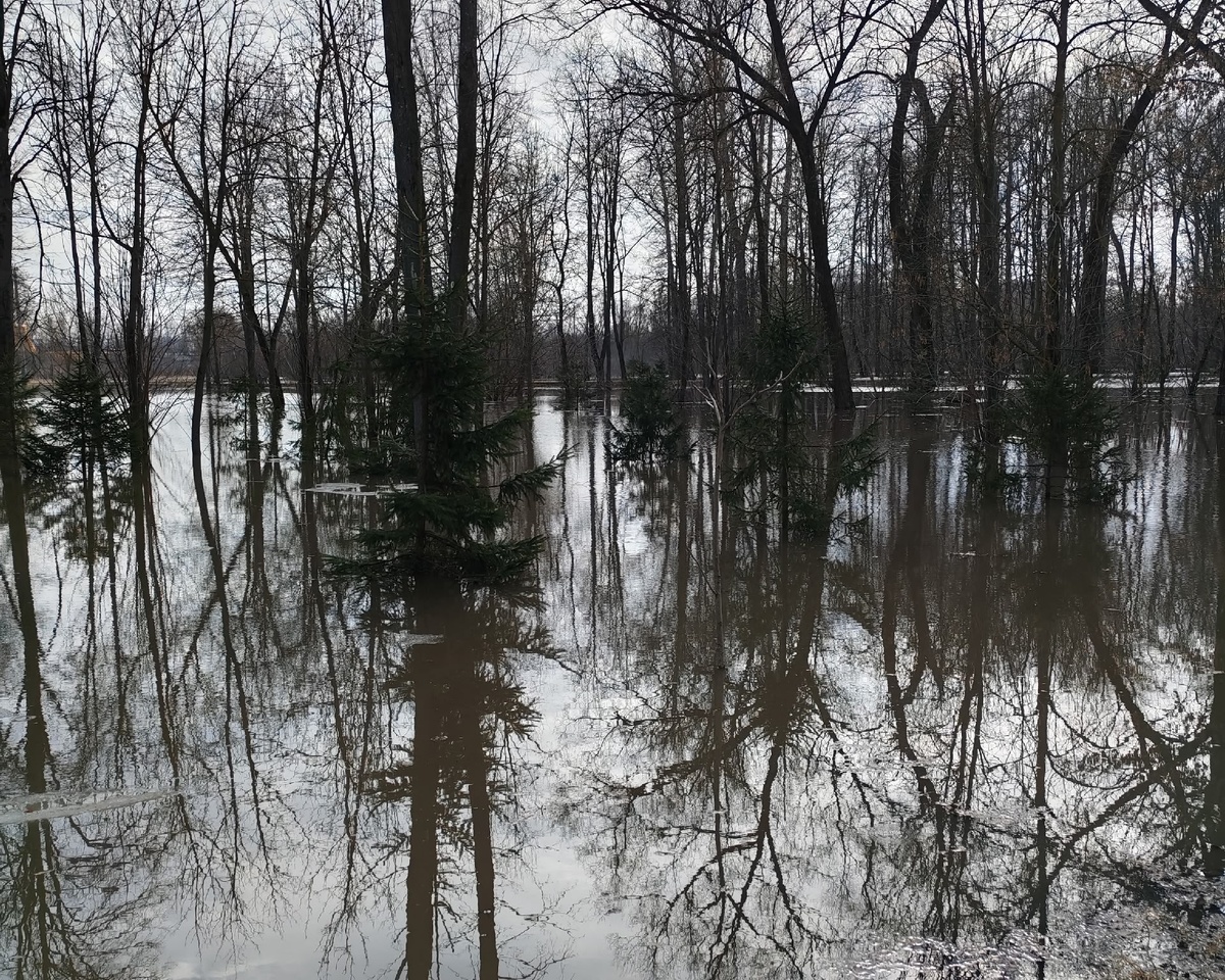 Фото: Тульская служба новостей