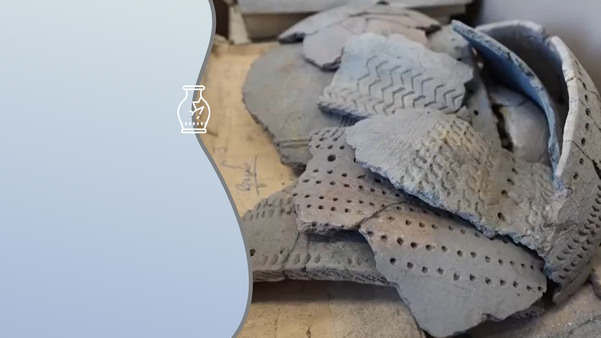 Находки, хранившиеся в вузе более 50 лет, станут основой экспозиции в новом музее. Коллаж: медиацентр УрФУ.