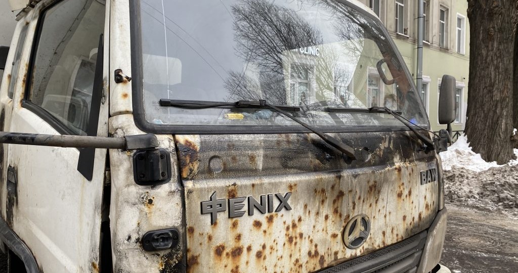 Что убивает лакокрасочное покрытие кузова весной, и причем тут флора и фауна?