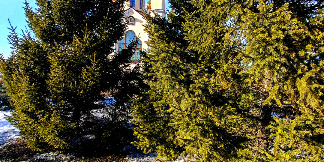 Рубрика Моменты в кадре."Мой взгляд на мир" Прогулка к храму!