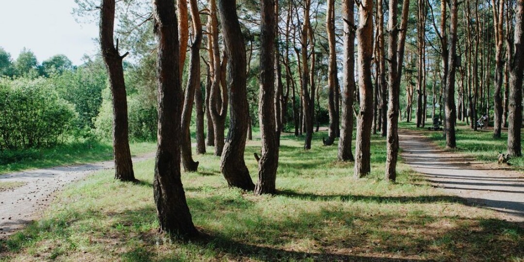 В Пензенской области вновь ищут подрядчика для ликвидации «химнаследия»