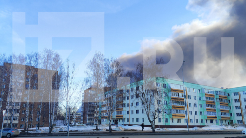    Фото: ИЗВЕСТИЯ; 5-tv.ru