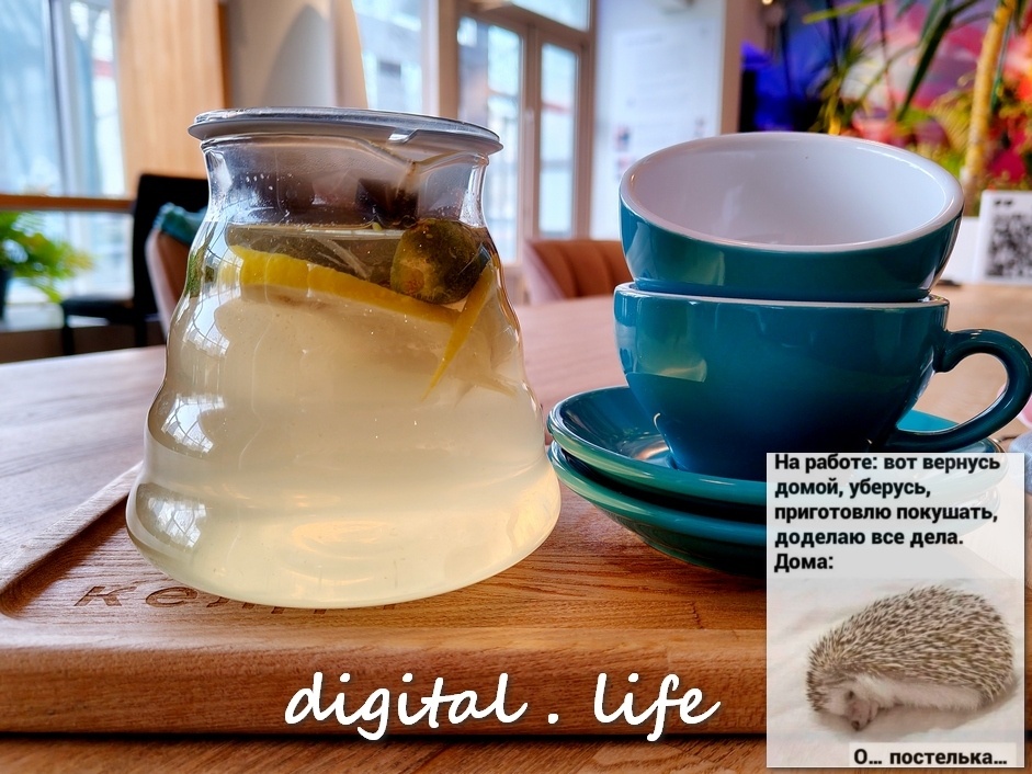 Фото автора. Чай и мысль из открытых источников )))