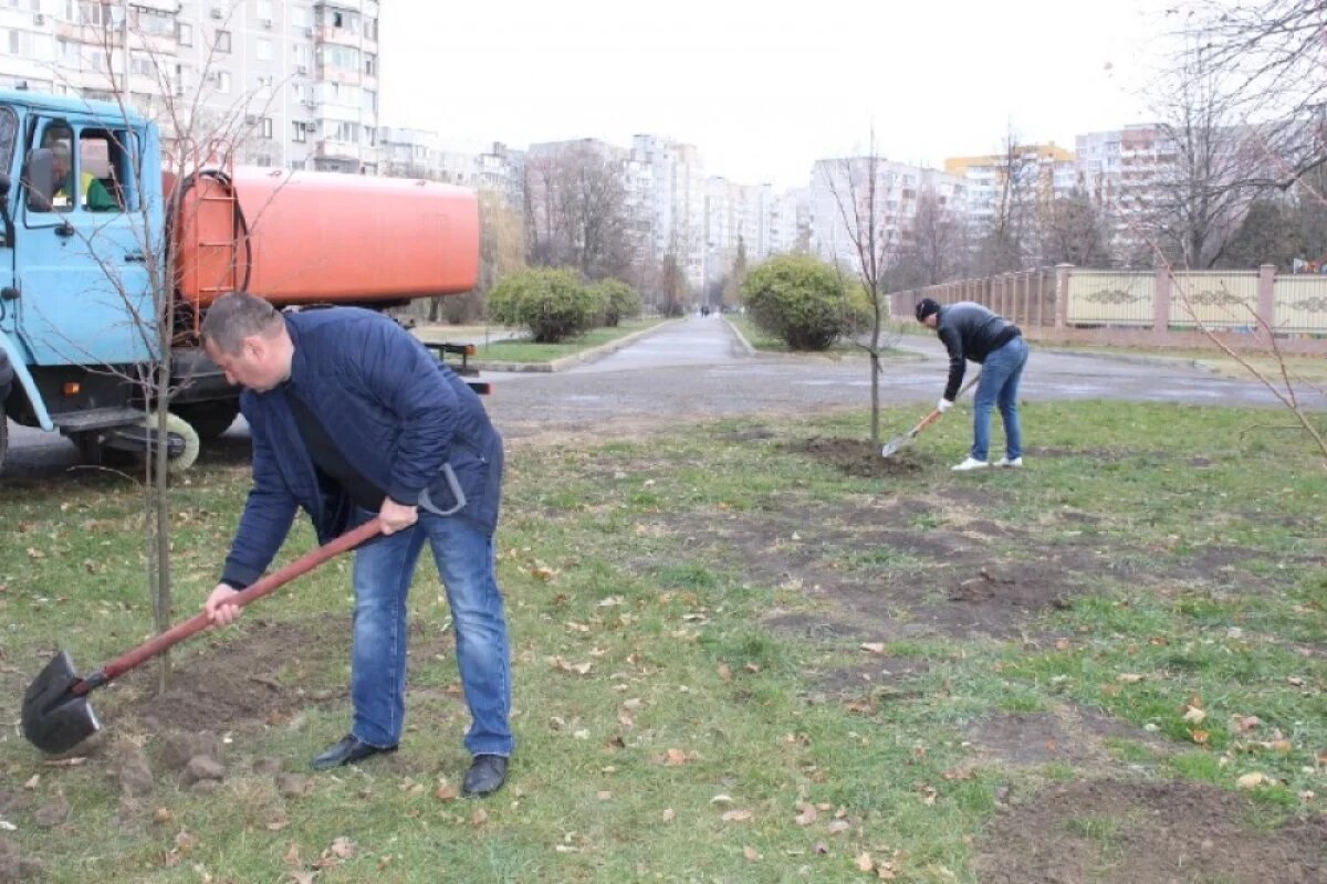    Более 40 тысяч растений высадили озеленители в 2025 году в Краснодаре