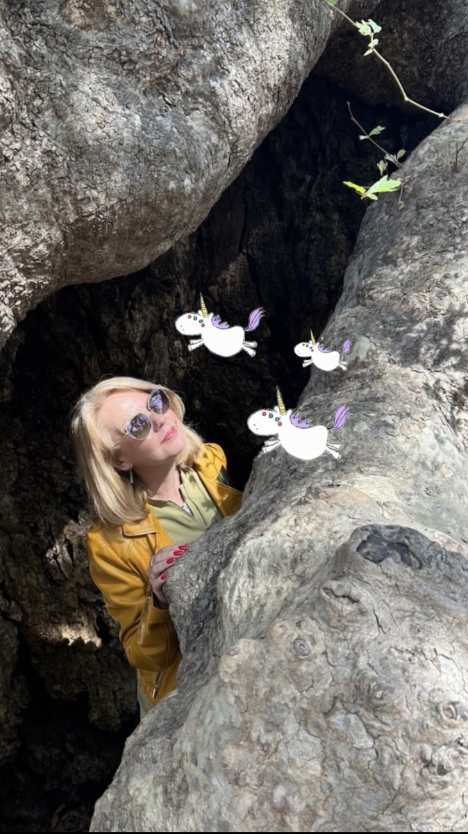 Единороги уносят тревоги автора (фото из архива)