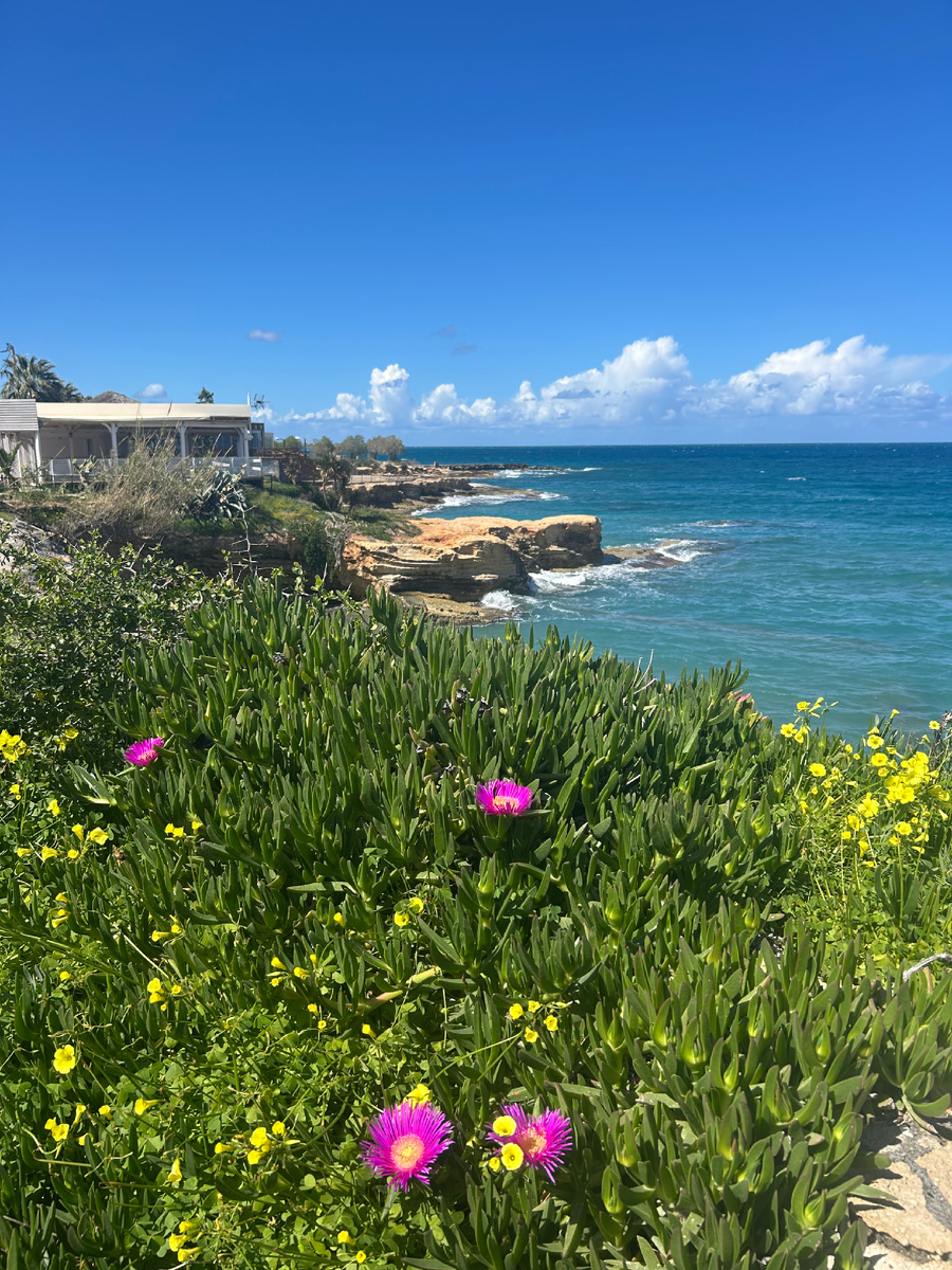 Море, как вы любите  и тоже успокаивает (фото автора)