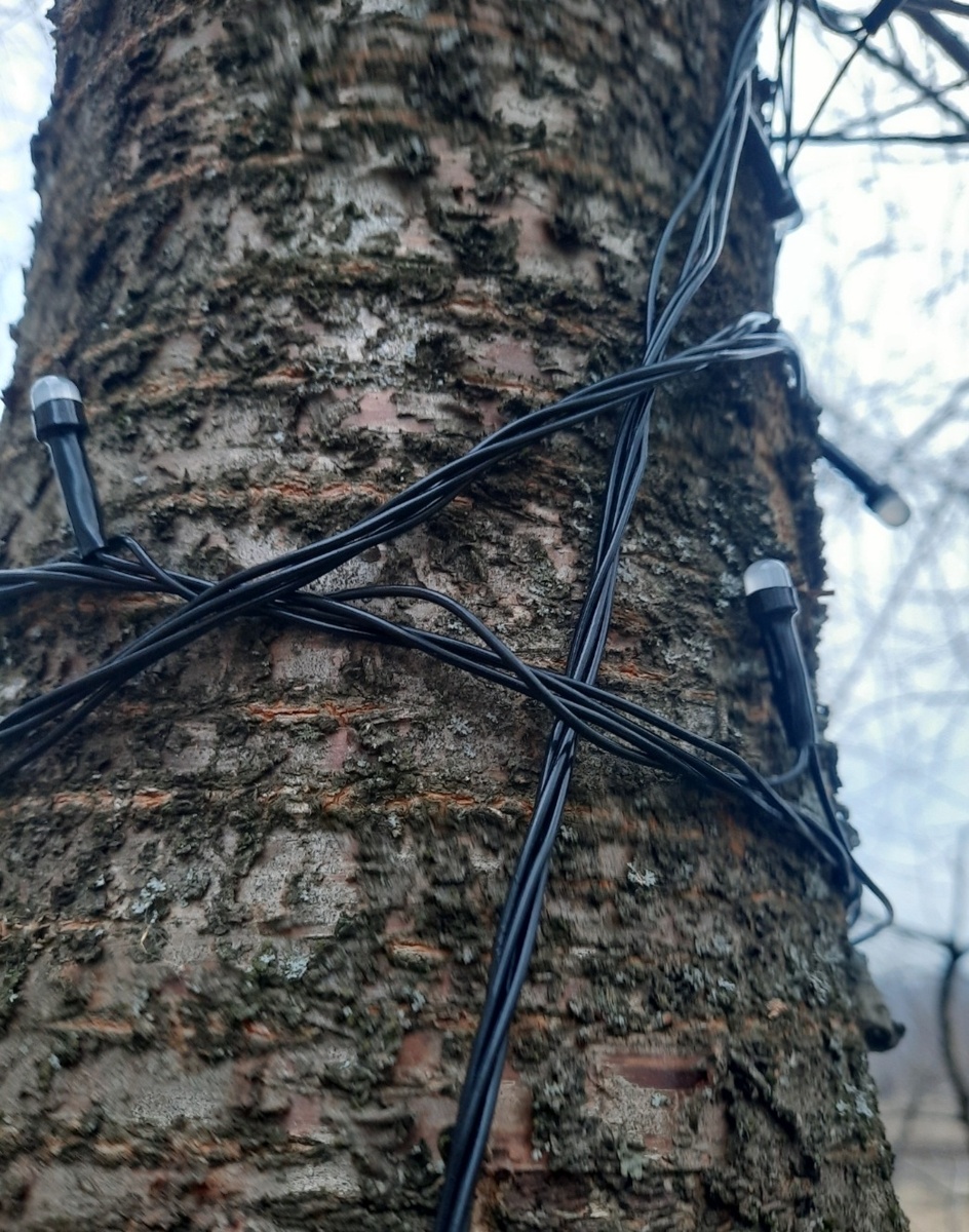 Одна по другой.. Фото автора 