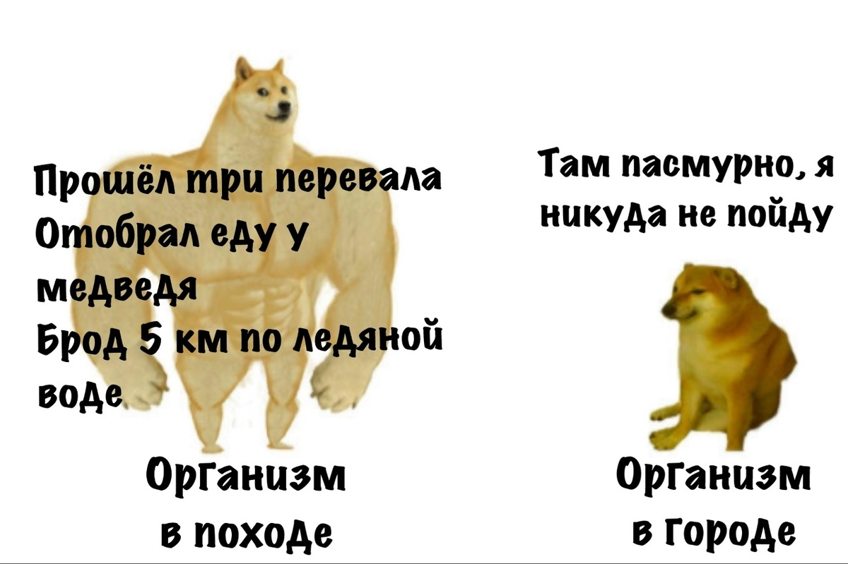 Городские условия для курьера - тоже поход, только с комфортабельными ночёвками. Но доставку я тоже заказываю, когда "организм в городе". 