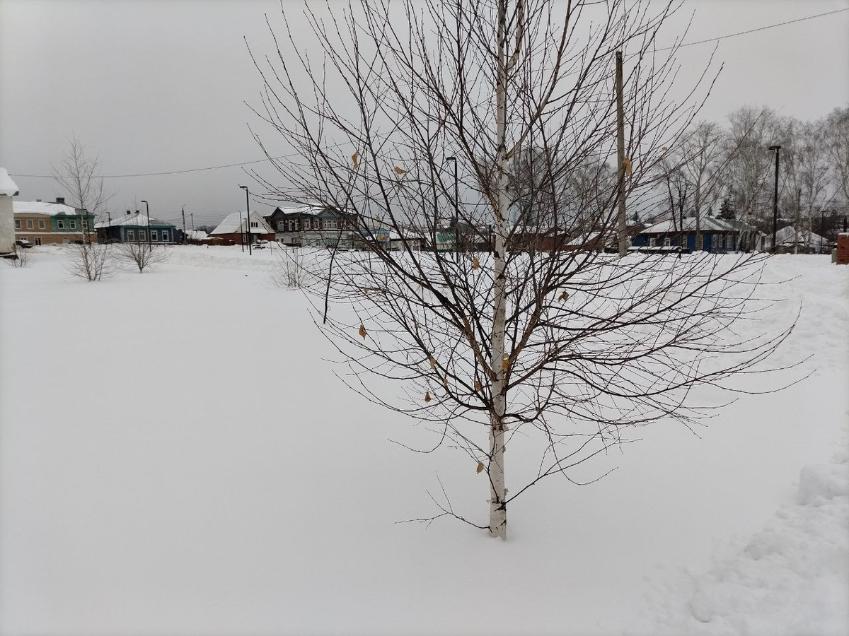 Фото автора.