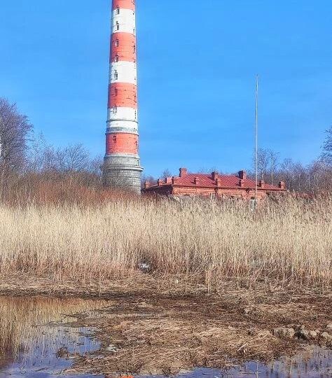 Сегодня ходил проверял обстановочку на берегу