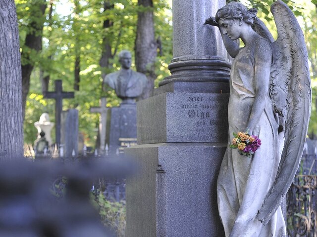    Фото: Москва 24/Александр Авилов