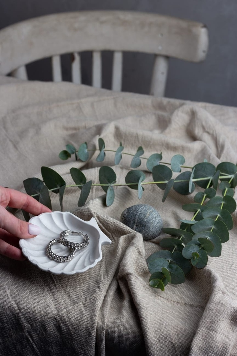    Фото: администрация Петрозаводска