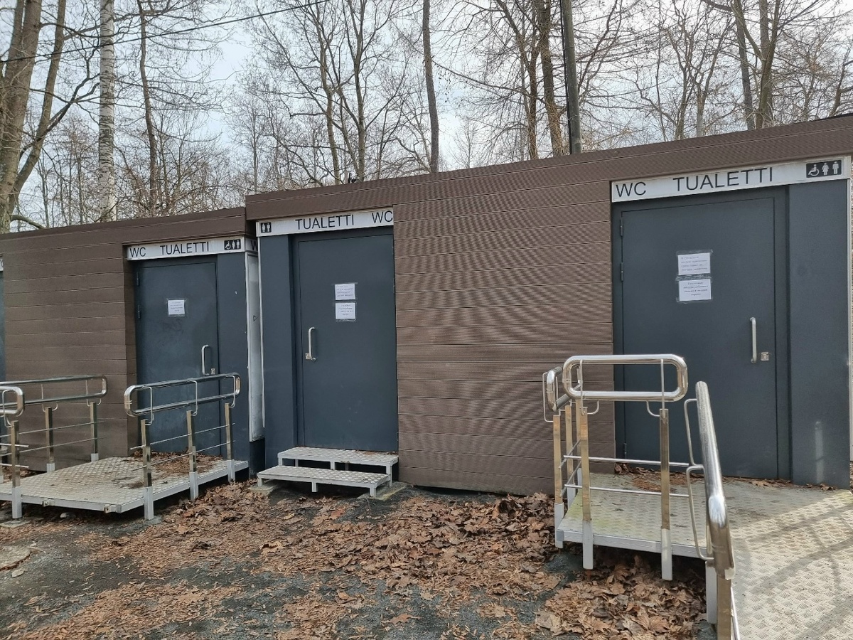    Ирина Яковлева