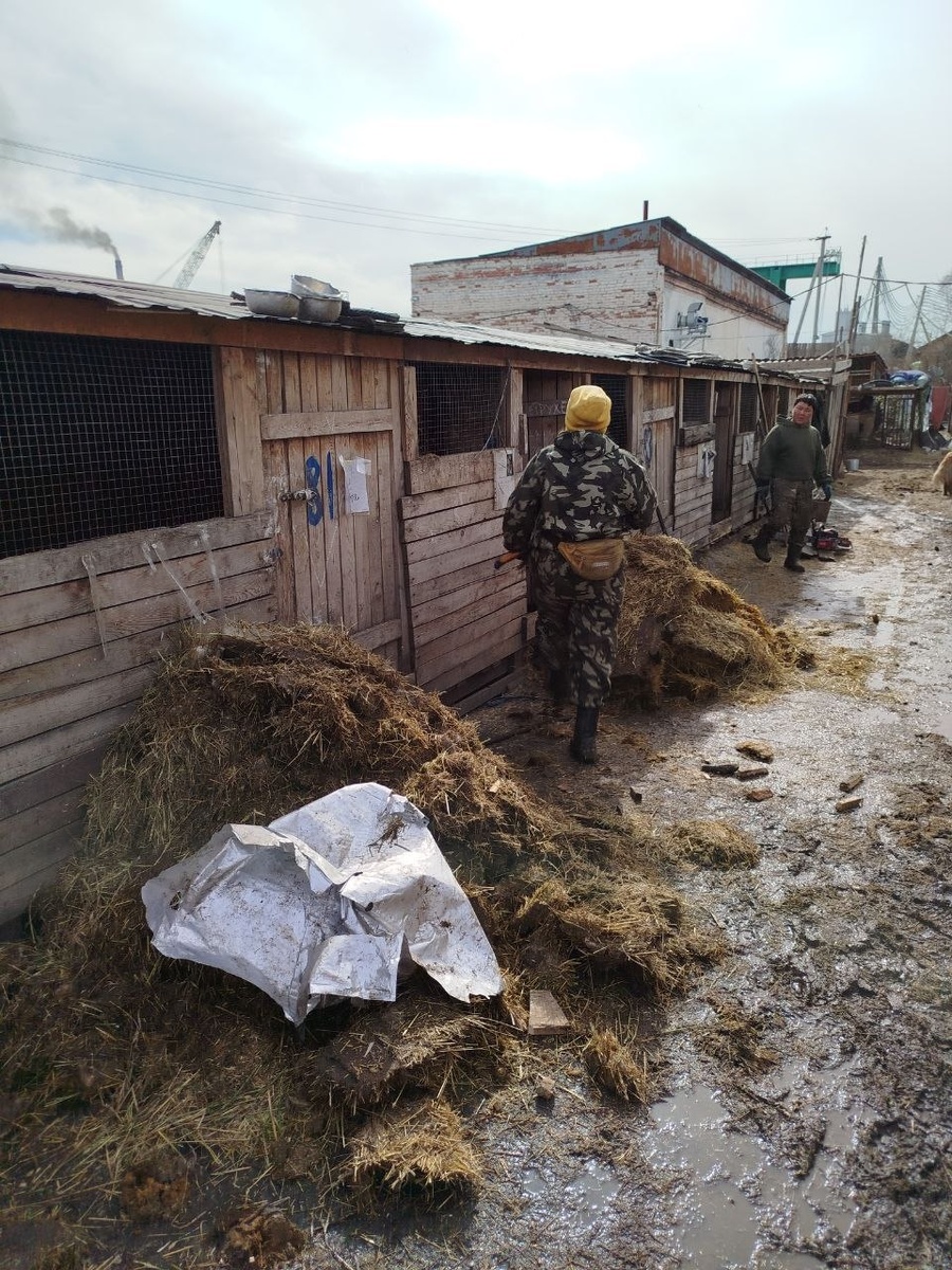 Очистка вольеров от сена и биологических отходов