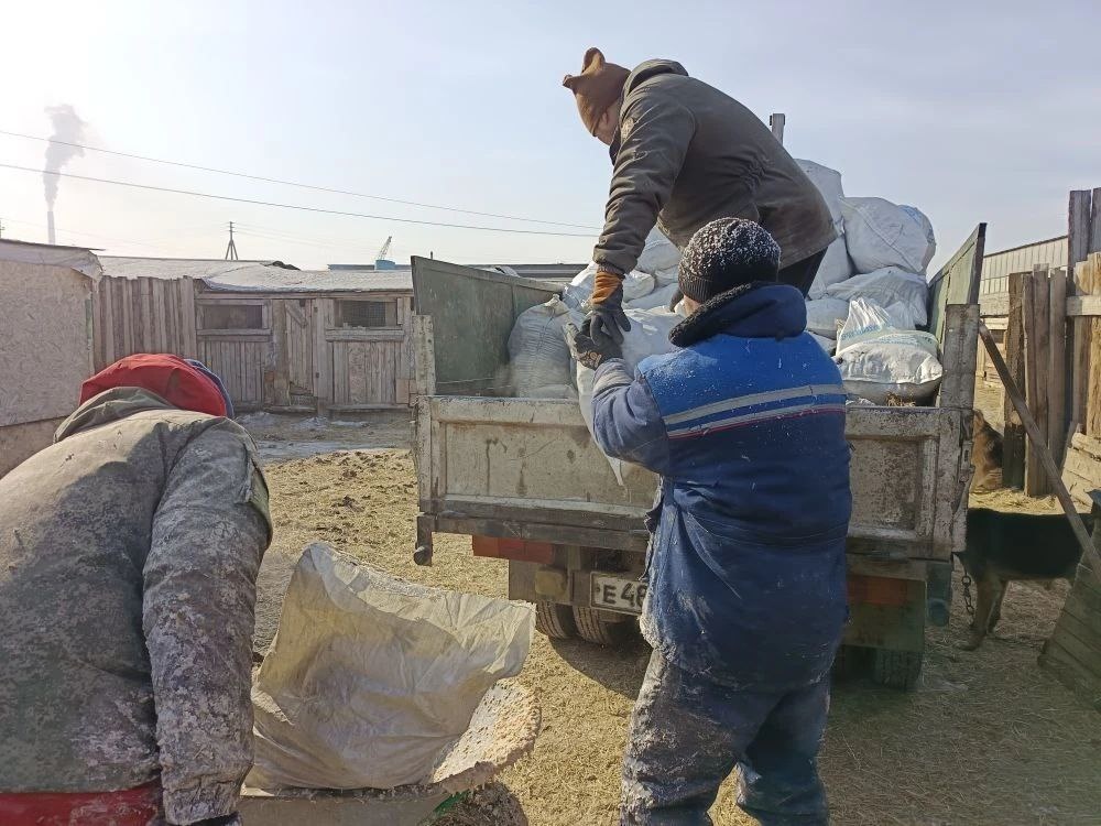 Работники приюта разгружают машину