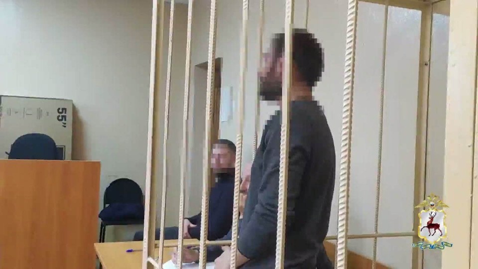    Виновник смертельного ДТП на Ларина в Нижнем Новгороде отправлен под стражу. ГУ МВД по Нижегородской области