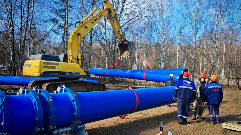    Фото: grad.kostroma.gov.ru