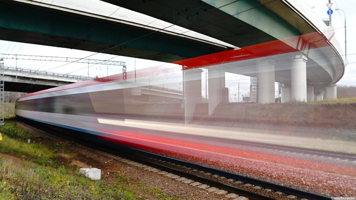     Высокоскоростной поезд   
Иван Лазебный © ИА Красная Весна