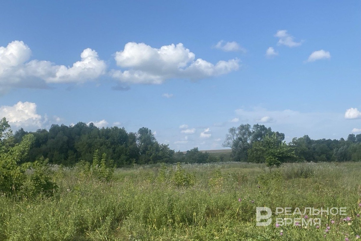   Реальное время / realnoevremya.ru