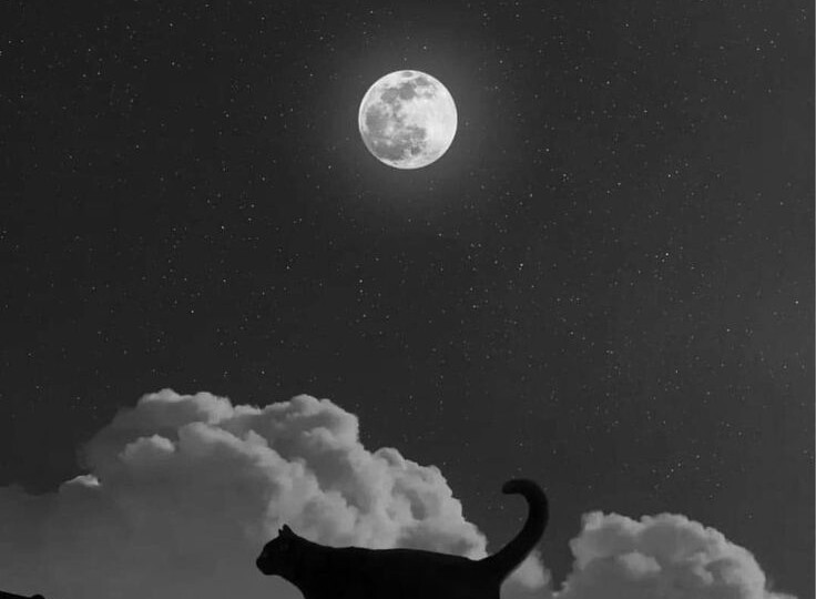 Полнолуние 2 Апреля Овен - Весы