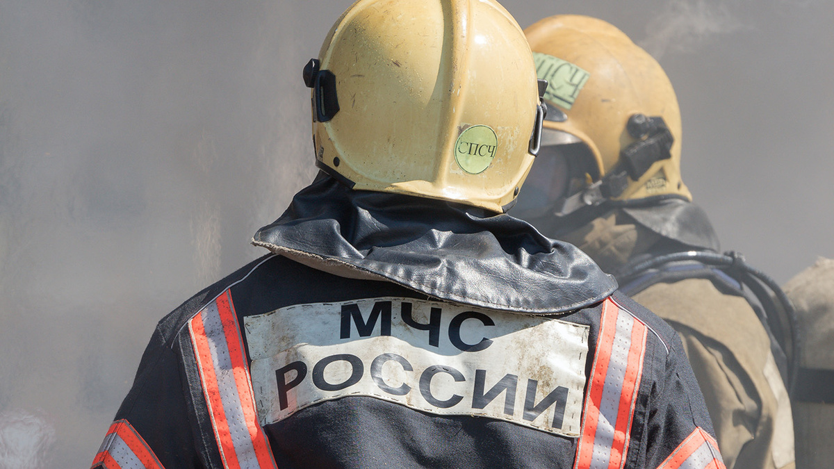   Alexander Piragis / Adobe Stock- Архивное фото