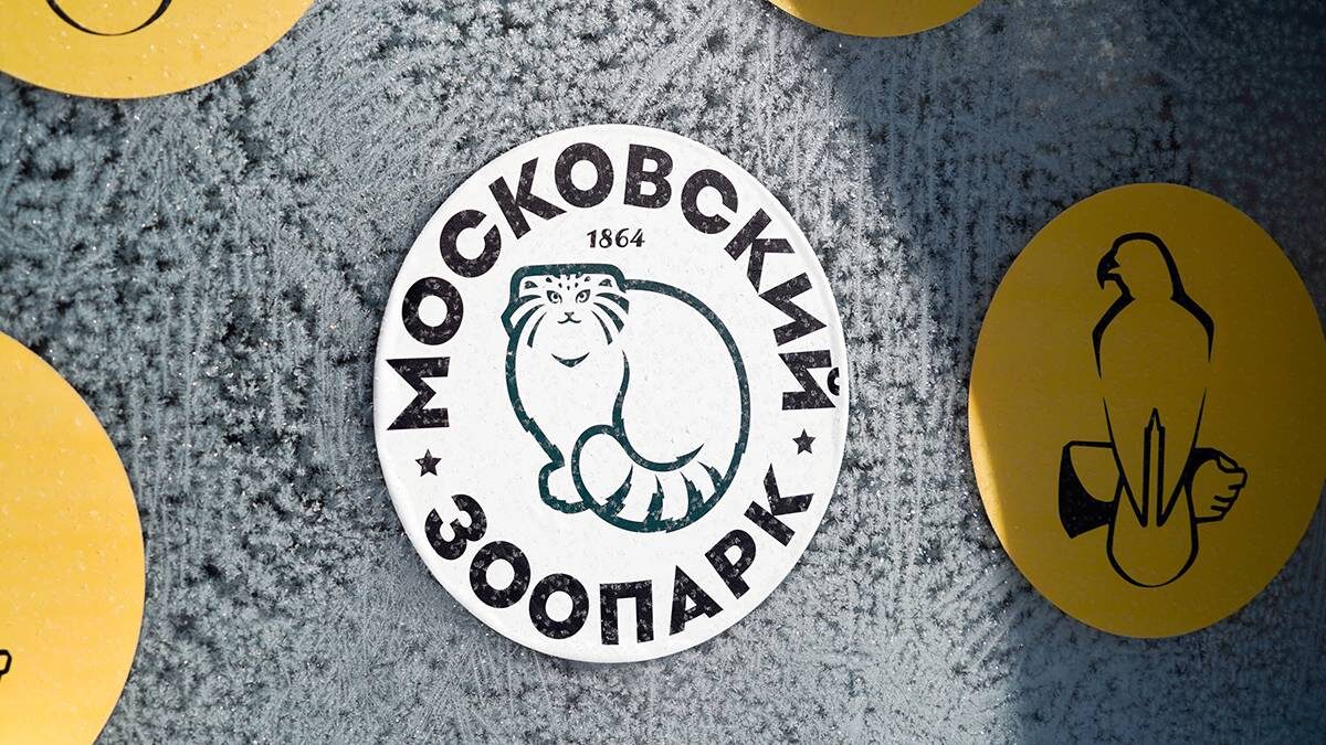    Фото: Светлана Нафикова / АГН Москва