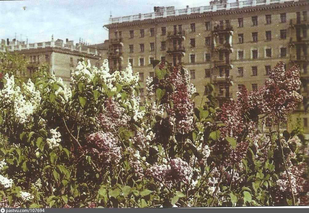 Сиреневый сад на Соколе, 1955 – 1960 г. Источник: Московский журнал № 11/2011.
