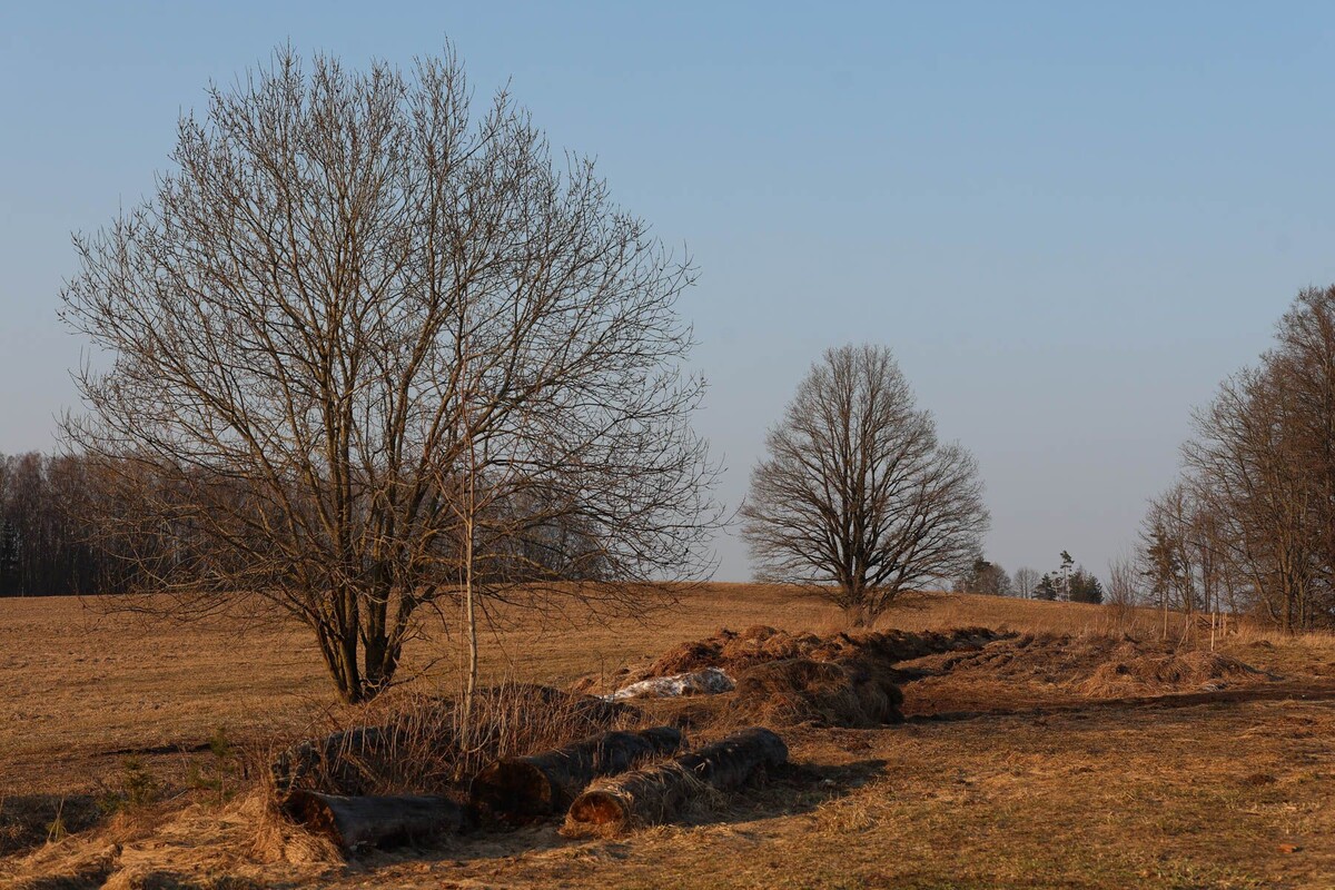  © Павел Орловский, Times.by