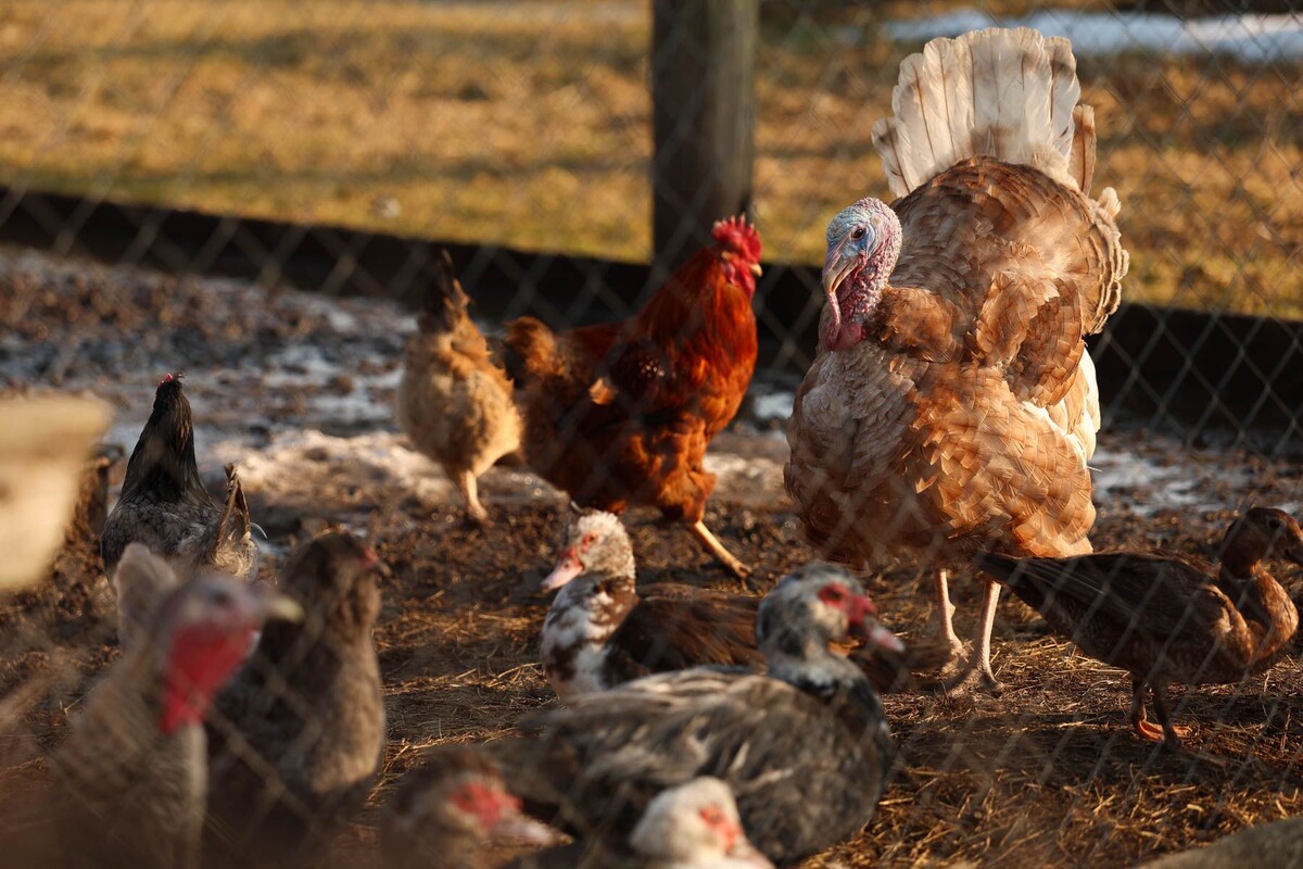  © Павел Орловский, Times.by