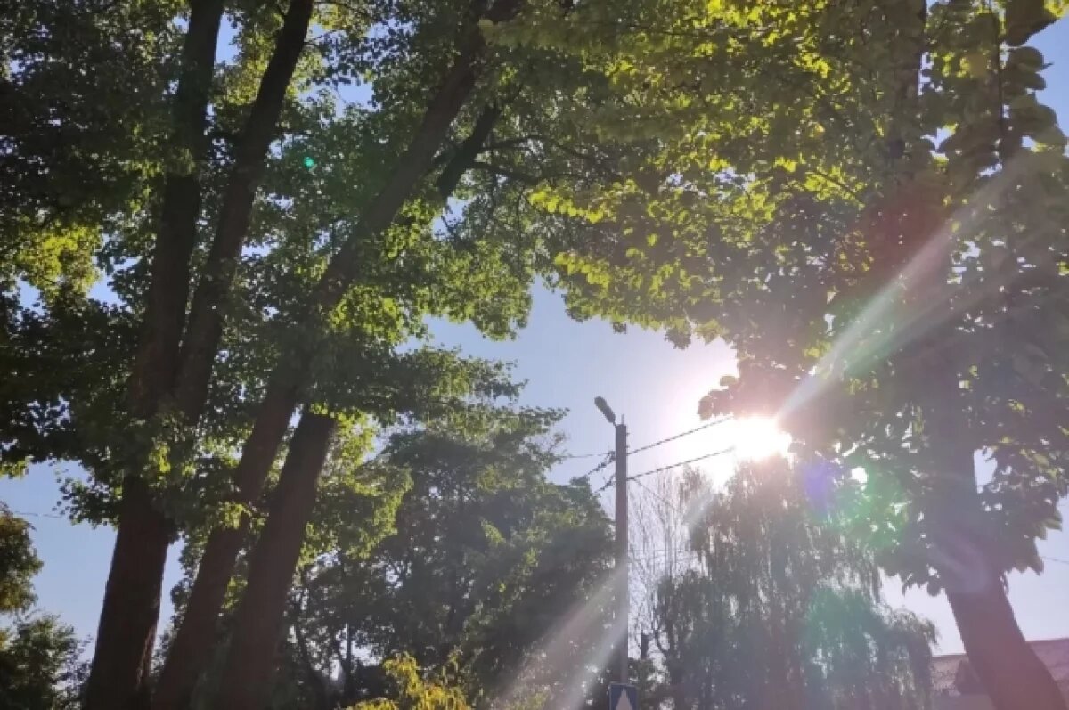    В Калужской области ожидается аномальная жара до 5 апреля