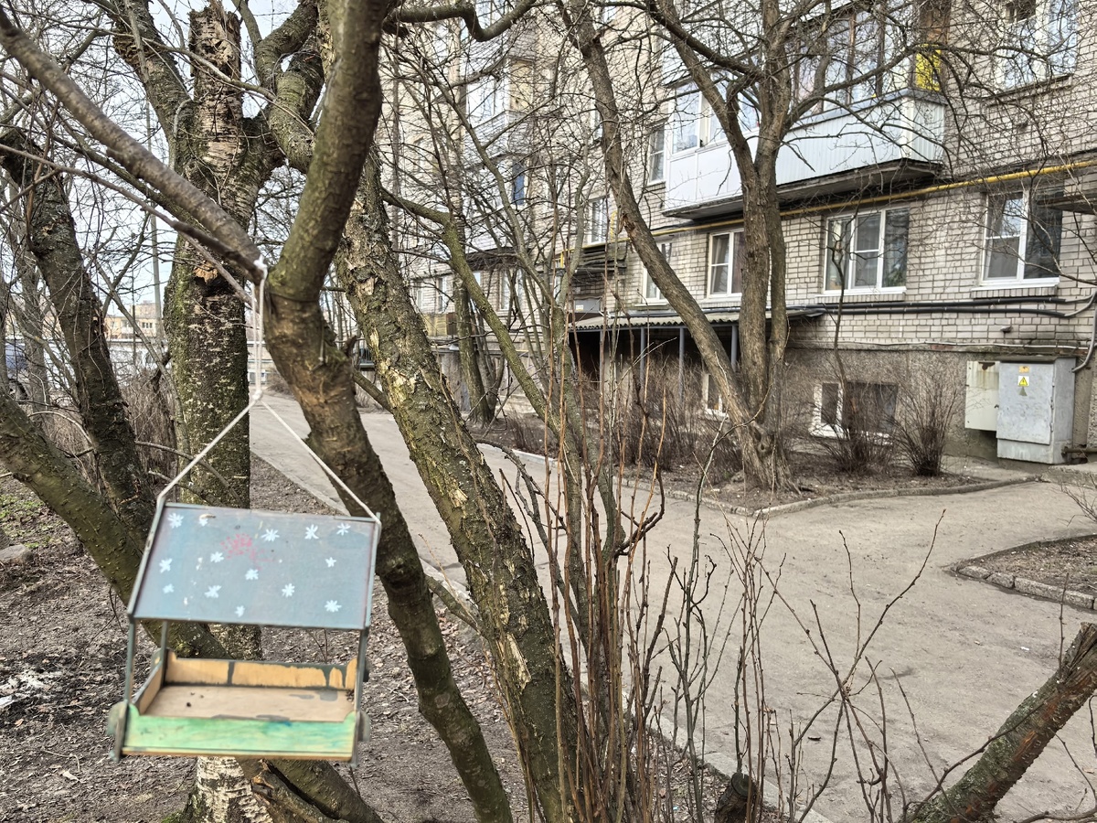    Жители дома по улице Краснофлотская 20 в Петрозаводске поблагодарили дворниковВероника Печуркина