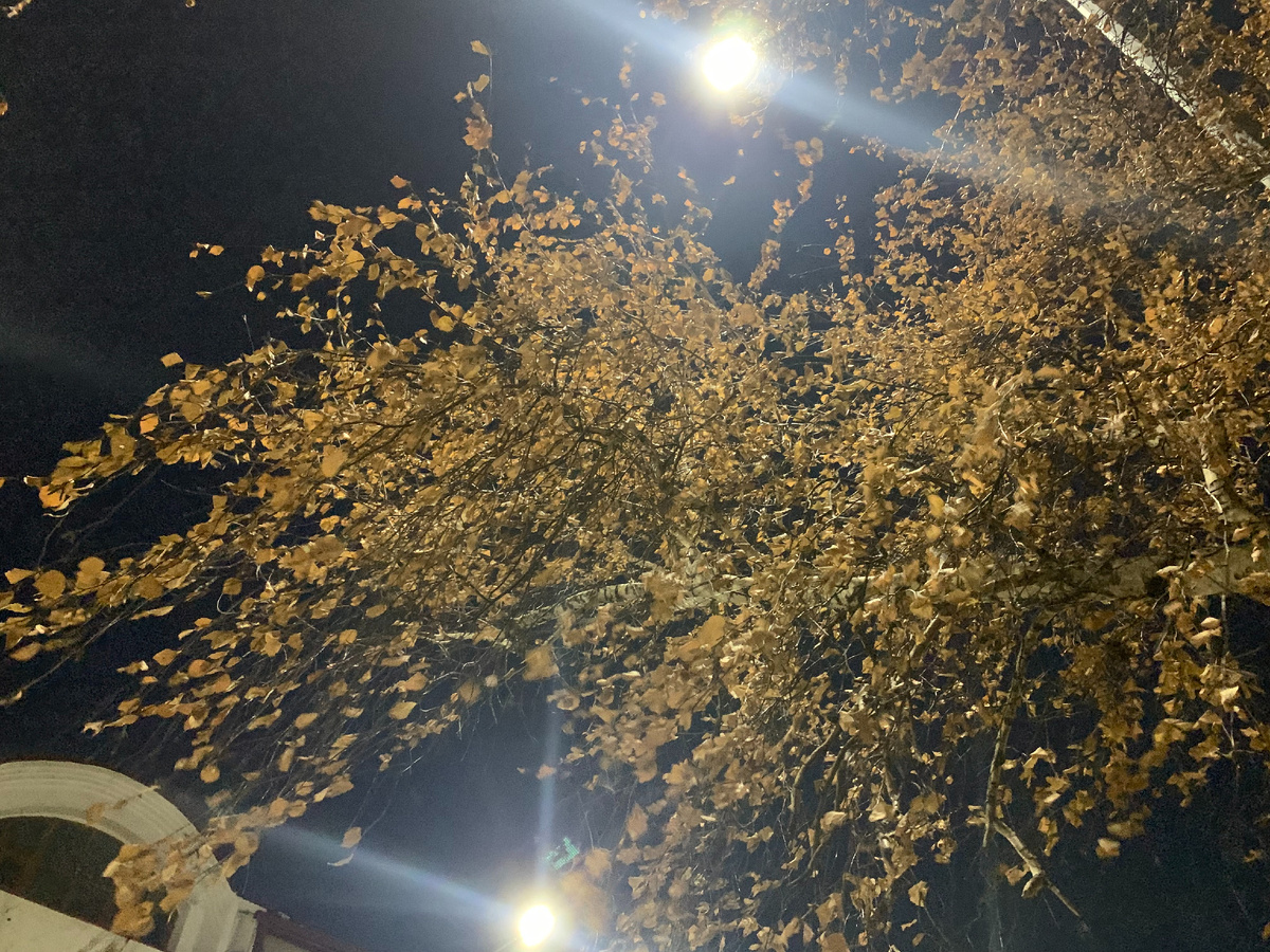 Якутск, площадь Ленина, 30 марта 2026 г.