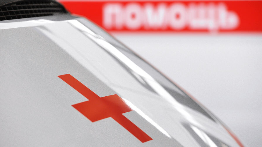 Павел Лисицын/РИА Новости   📷