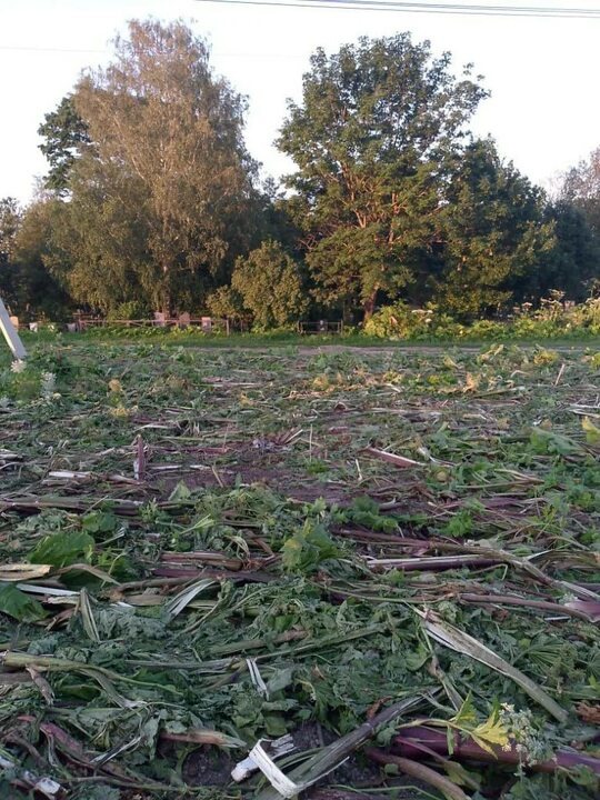 Фото из интернета 