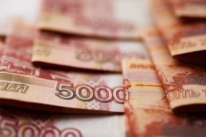 В Пензе возбуждено дело о преднамеренном банкротстве завода с ущербом в размере 95 млн рублей