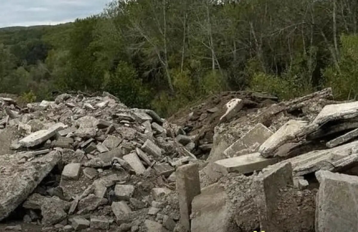    Фото пресс-службы Росприроднадзора