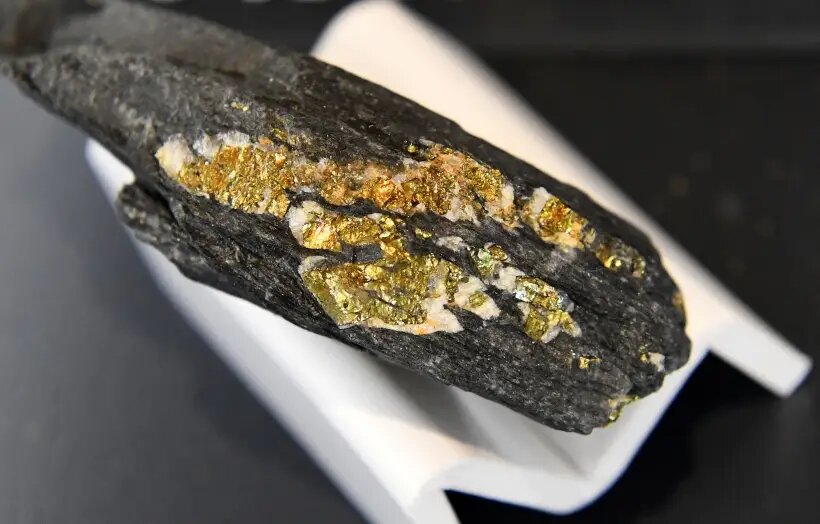     © РИА Новости. Илья Наймушин