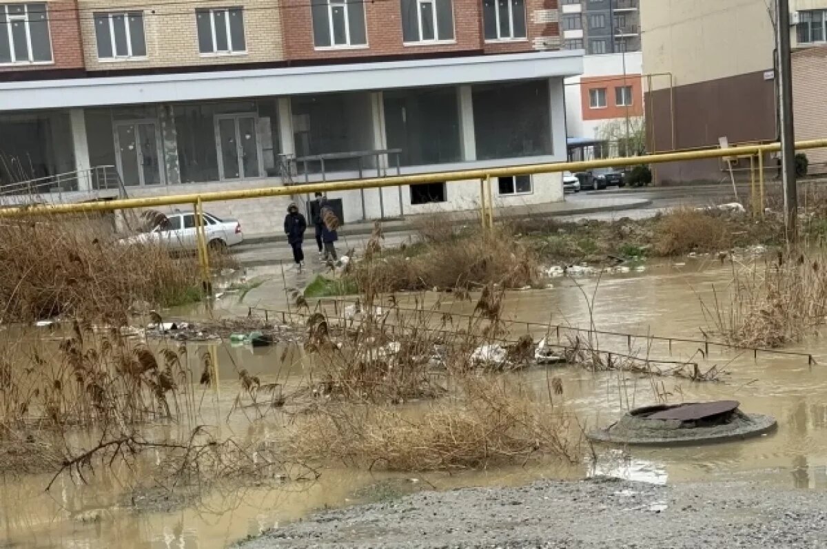    Жители Каспийска вновь пожаловались на ситуацию с Моисеевым ручьём